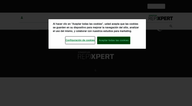 repxpert.es