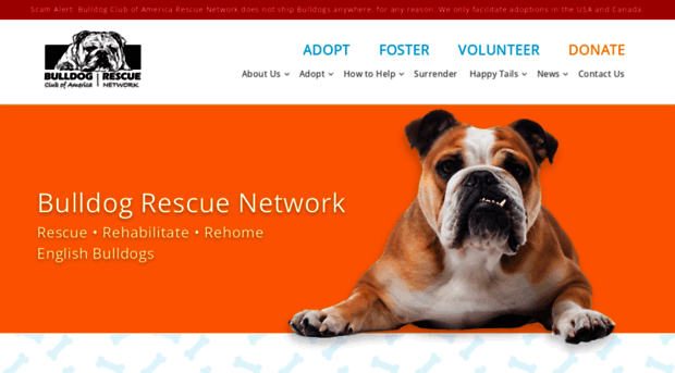 rescuebulldogs.org