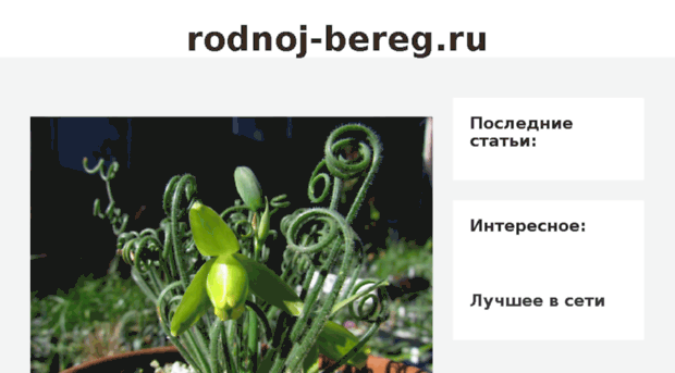 rodnoj-bereg.ru