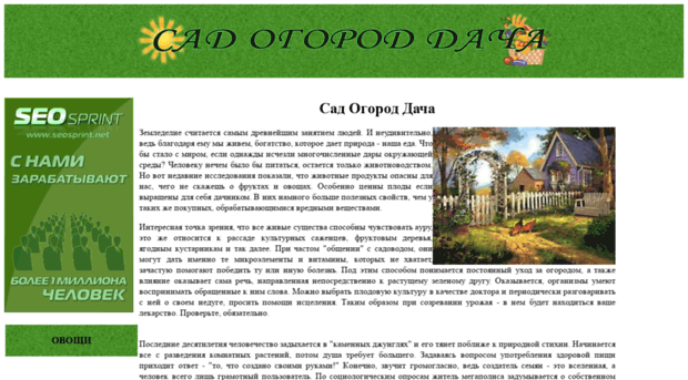 sad-ogorod-dacha.ru