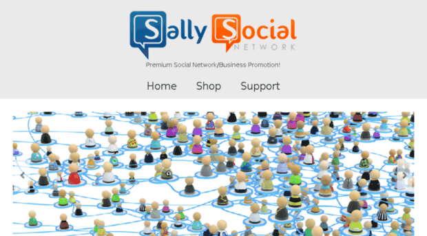 sallysocialnetwork.com