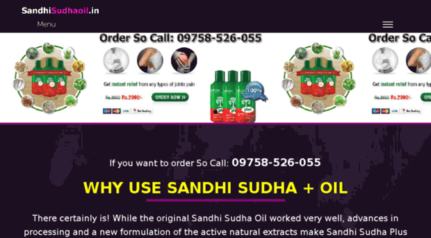 sandhi-sudha.co.in