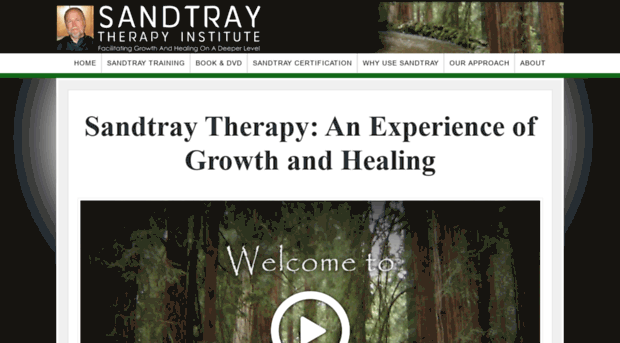 sandtraytherapyinstitute.com
