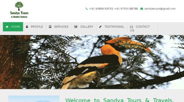 sandyatours.com