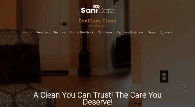 sanicareclean.com