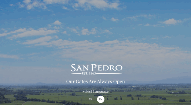 sanpedro.cl