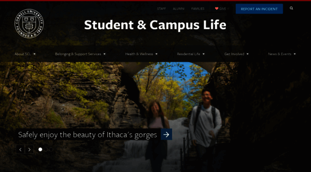 sas.cornell.edu