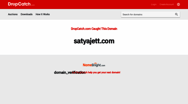 satyajett.com