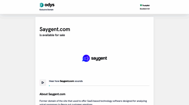 saygent.com