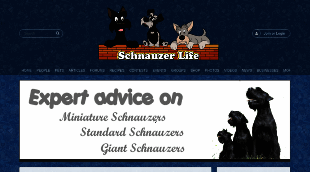 schnauzerlife.com