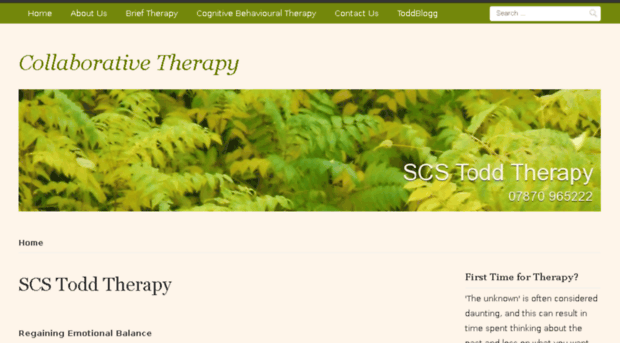 scstoddtherapy.co.uk