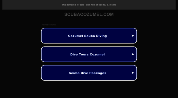 scubacozumel.com