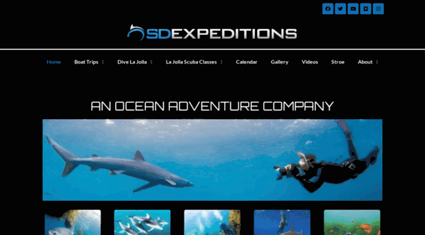 sdexpeditions.com