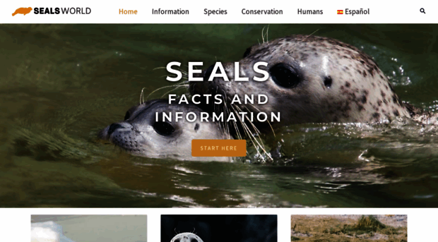 seals-world.com