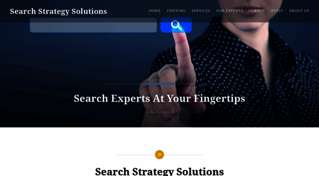 searchstrategysolutions.com