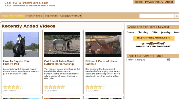 seehowtotrainahorse.com