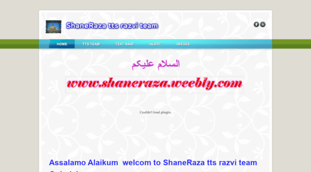 shaneraza.weebly.com