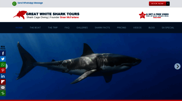 sharkcagediving.net