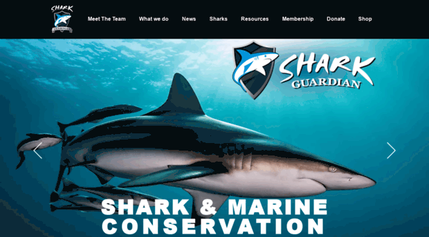 sharkguardian.org