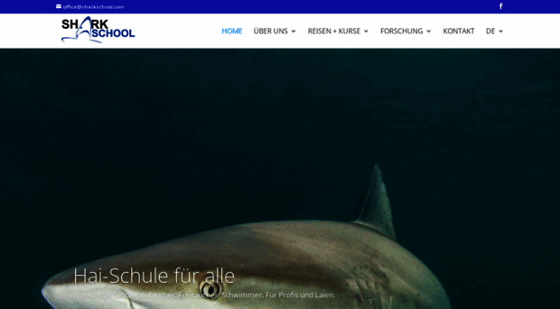 sharkschool.com