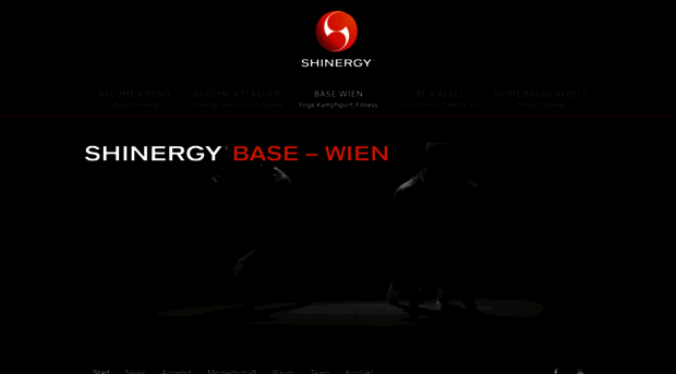 shinergy.com