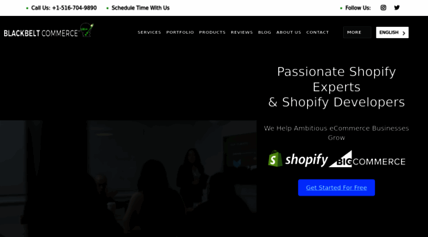 shopifyninjas.com