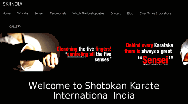 shotokankarate-india.com