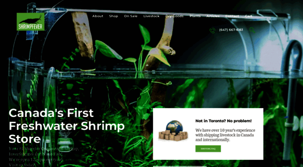 shrimpfever.com