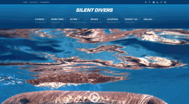 silentdivers.com