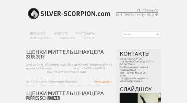 silver-scorpion.com