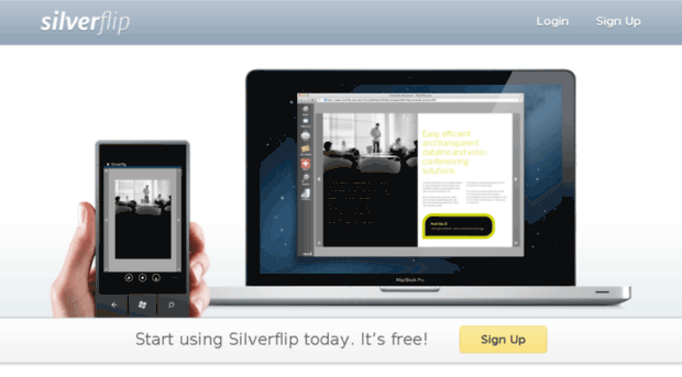 silverflip.net