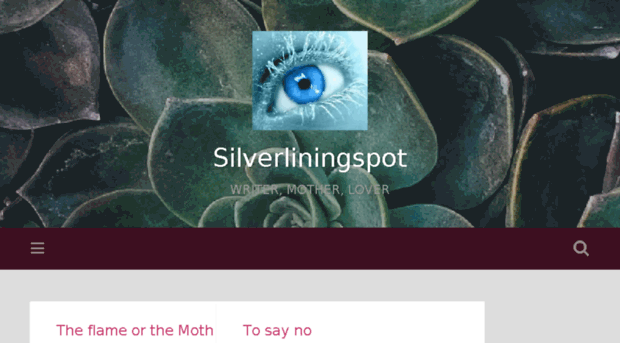 silverliningspot.wordpress.com