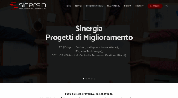 sinergiaconsulenze.it