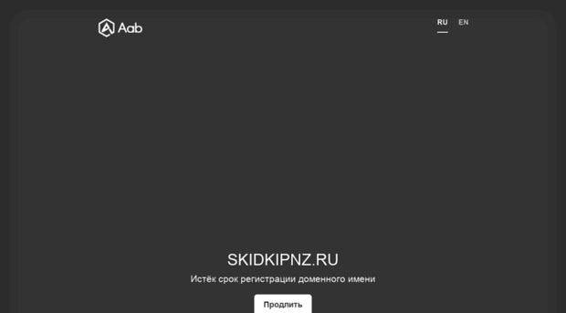 skidkipnz.ru