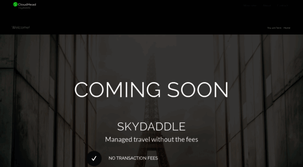 skydaddle.com