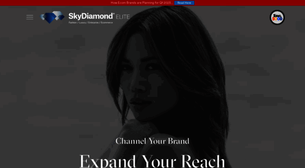 skydiamondmarketing.com