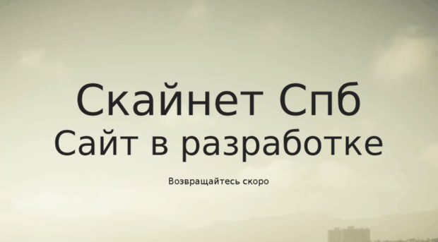 skynetspb.ru