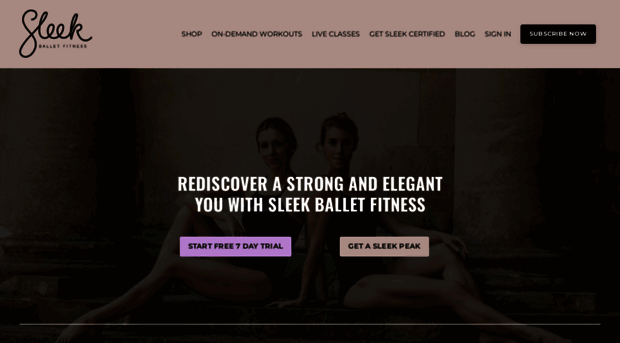 sleektechnique.com