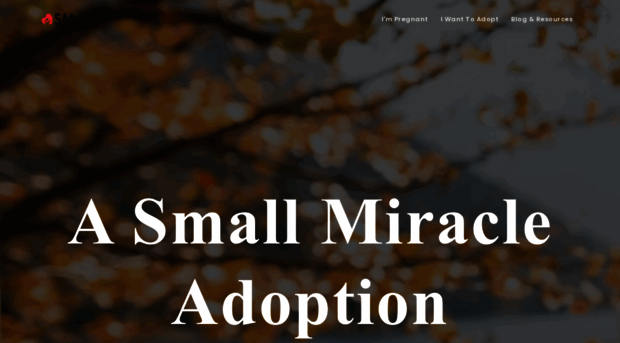 smallmiraclesadoption.com