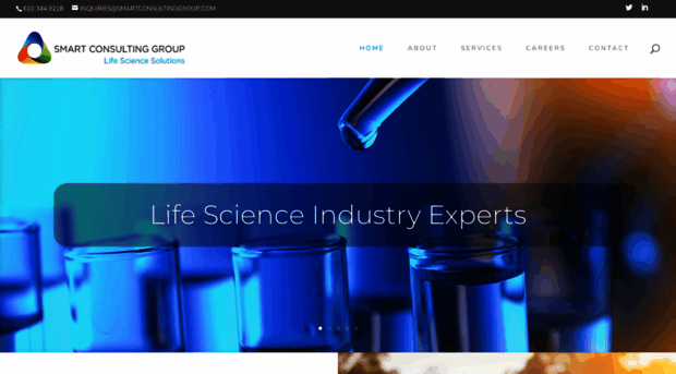 smartconsultinggroup.com