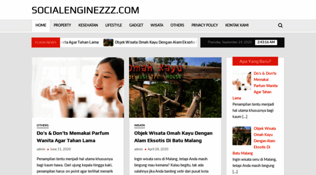 socialenginezzz.com