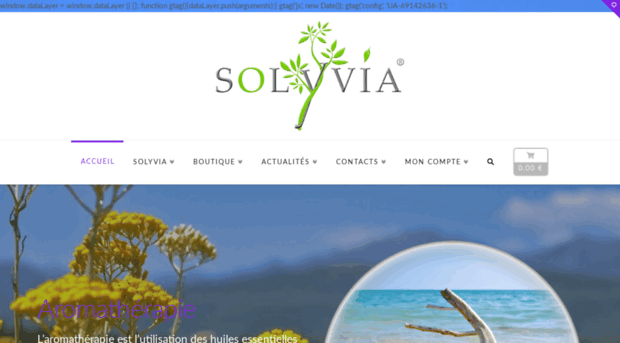 solyvia.com