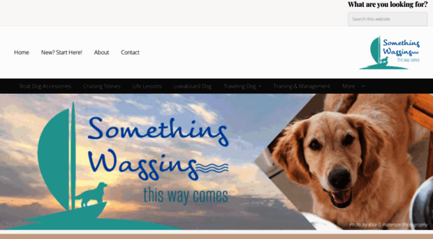 somethingwagging.com