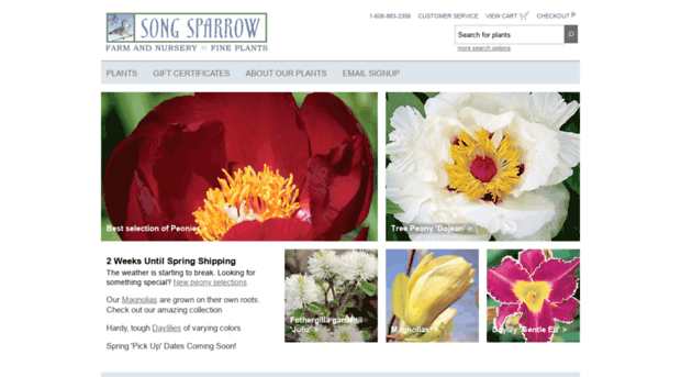 songsparrow.com