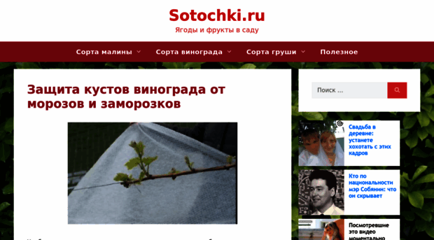 sotochki.ru