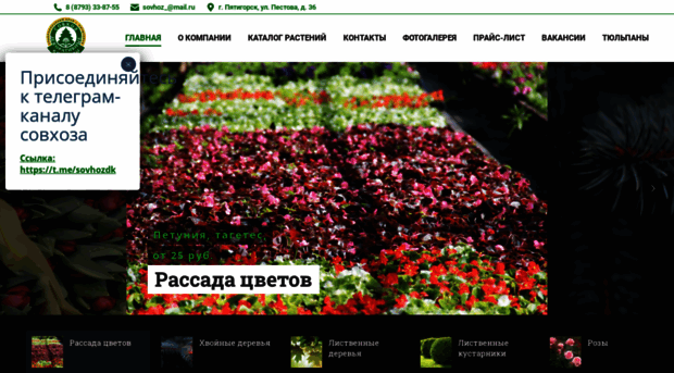 sovhozdk.ru
