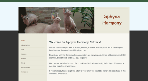 sphynxharmony.com