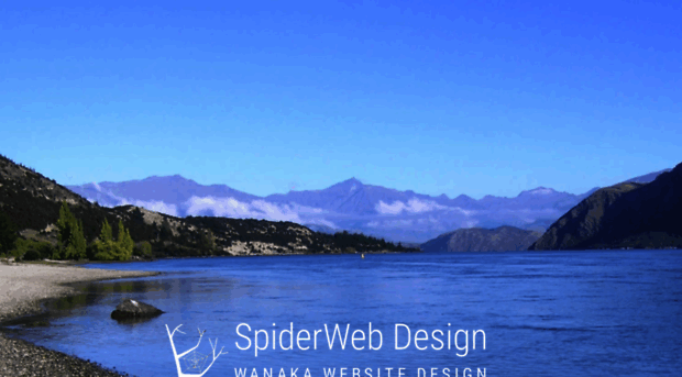 spiderwebdesign.co.nz