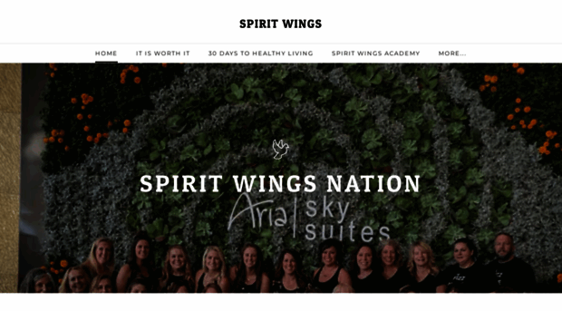 spiritwings.com