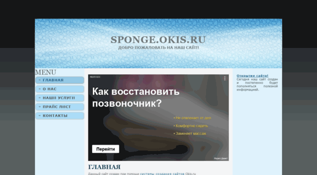 sponge.okis.ru